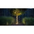 aranz_38575_1-263277
